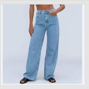 Everlane The OG Baggy Jean Wide Leg Organic Cotton Size 27 Moraine High Rise